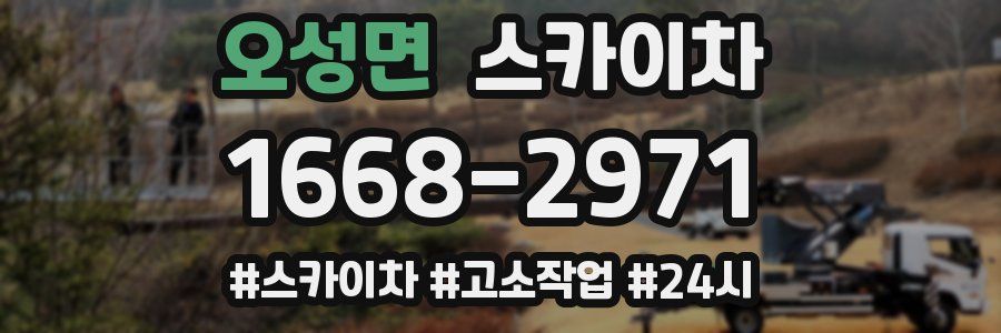 오성면 스카이차