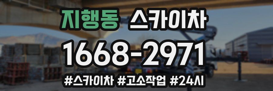 지행동 스카이차