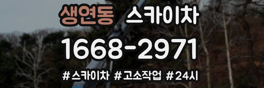 생연동 스카이차