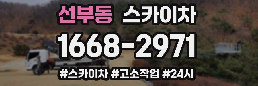 선부동 스카이차