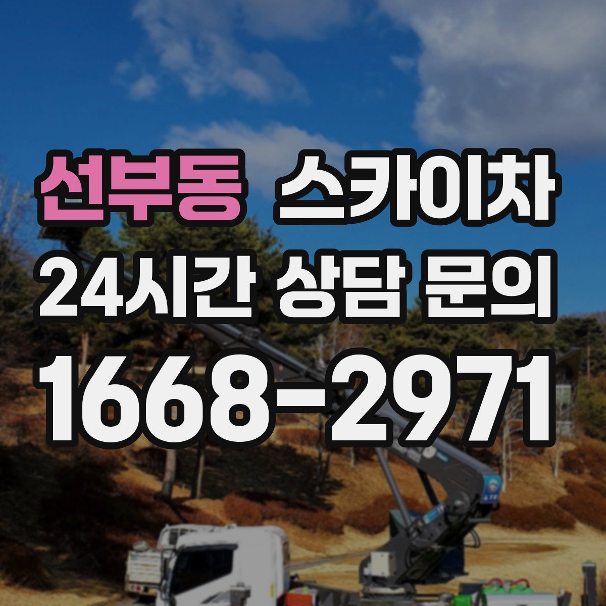 선부동 스카이차