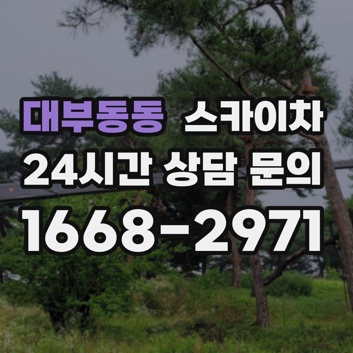 대부동동 스카이차