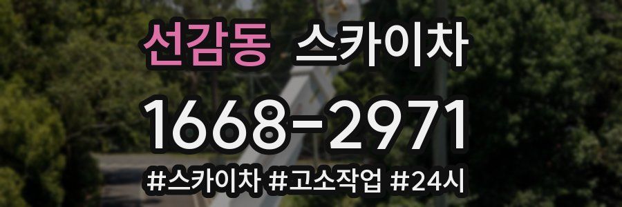 선감동 스카이차