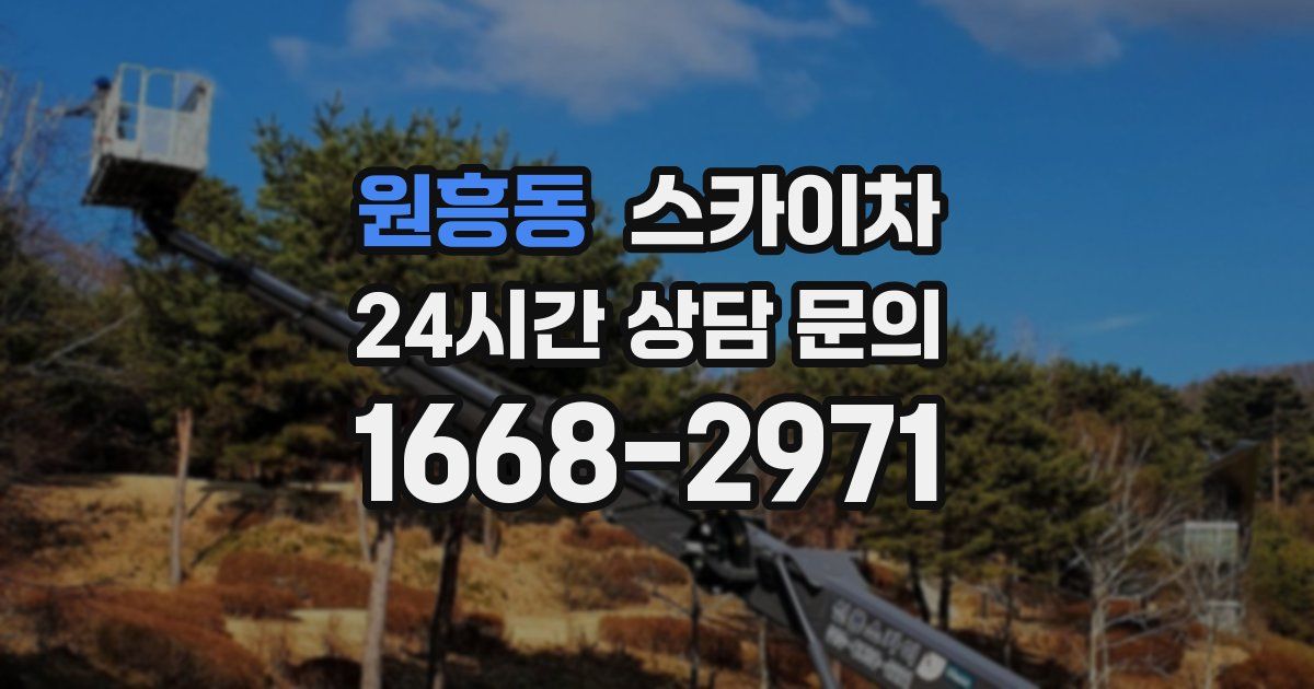 원흥동 스카이차