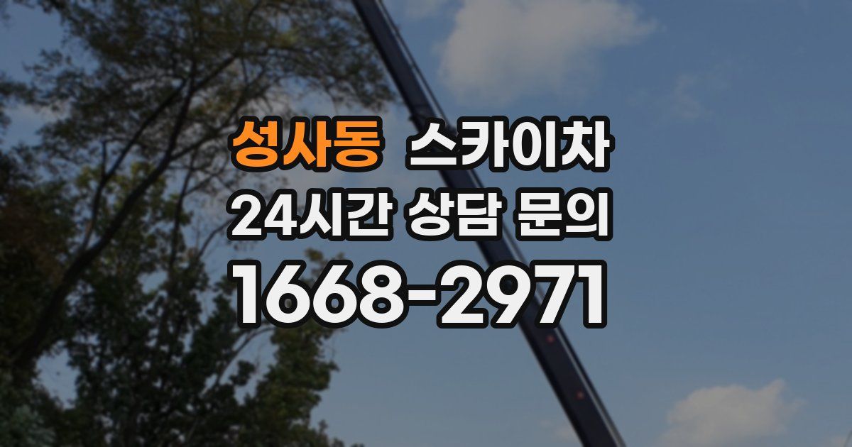 성사동 스카이차