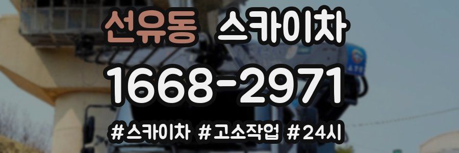 선유동 스카이차