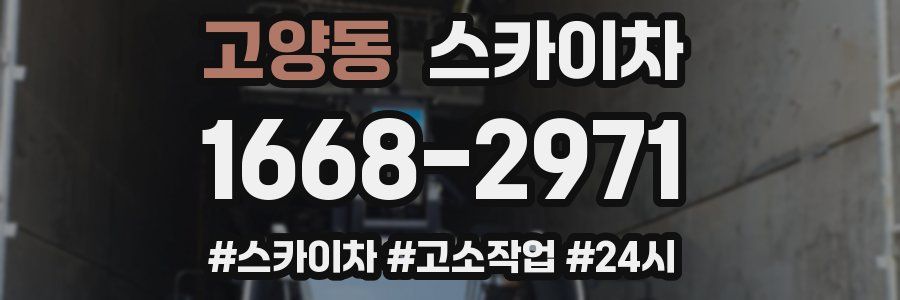 고양동 스카이차