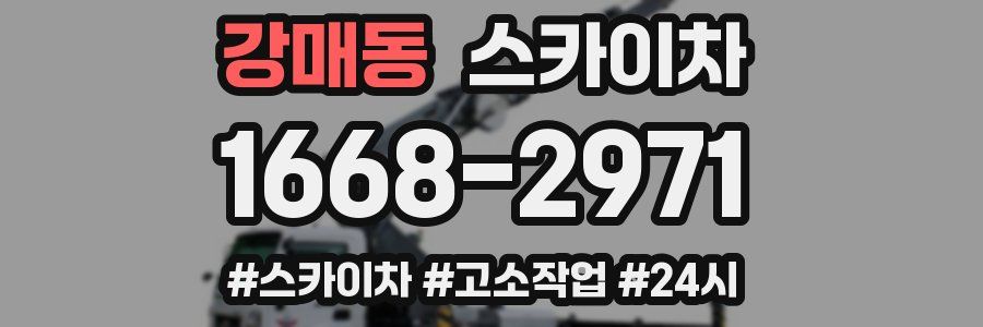 강매동 스카이차