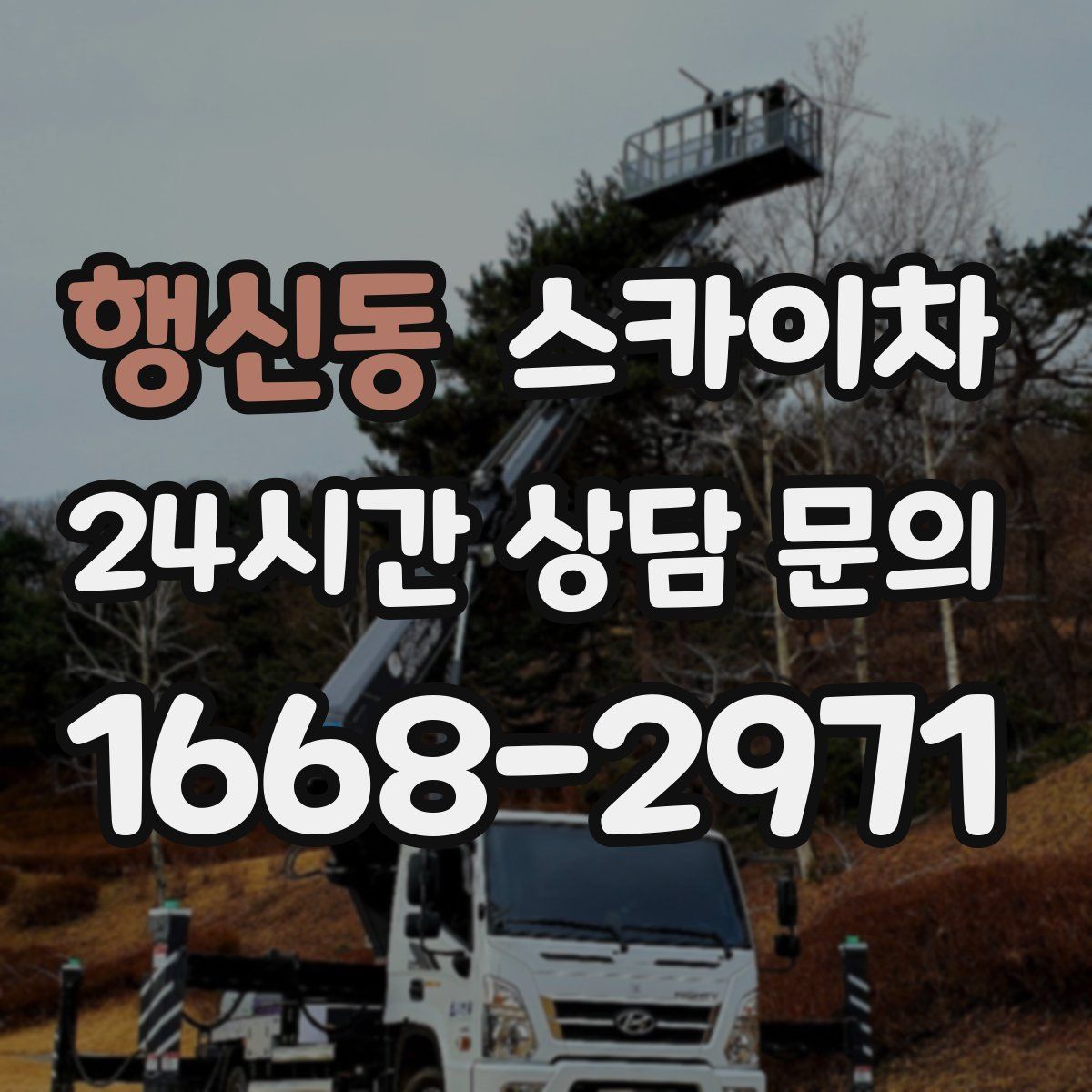 행신동 스카이차