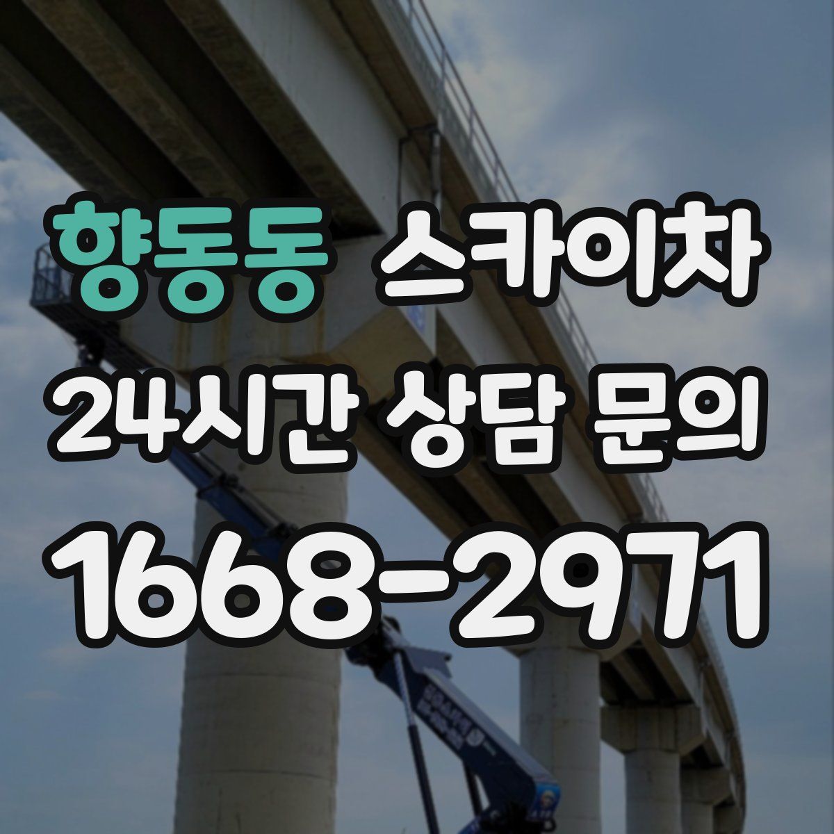 향동동 스카이차