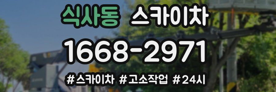 식사동 스카이차