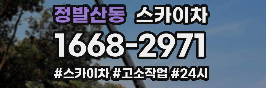 정발산동 스카이차