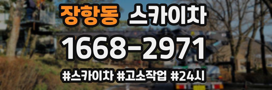 장항동 스카이차
