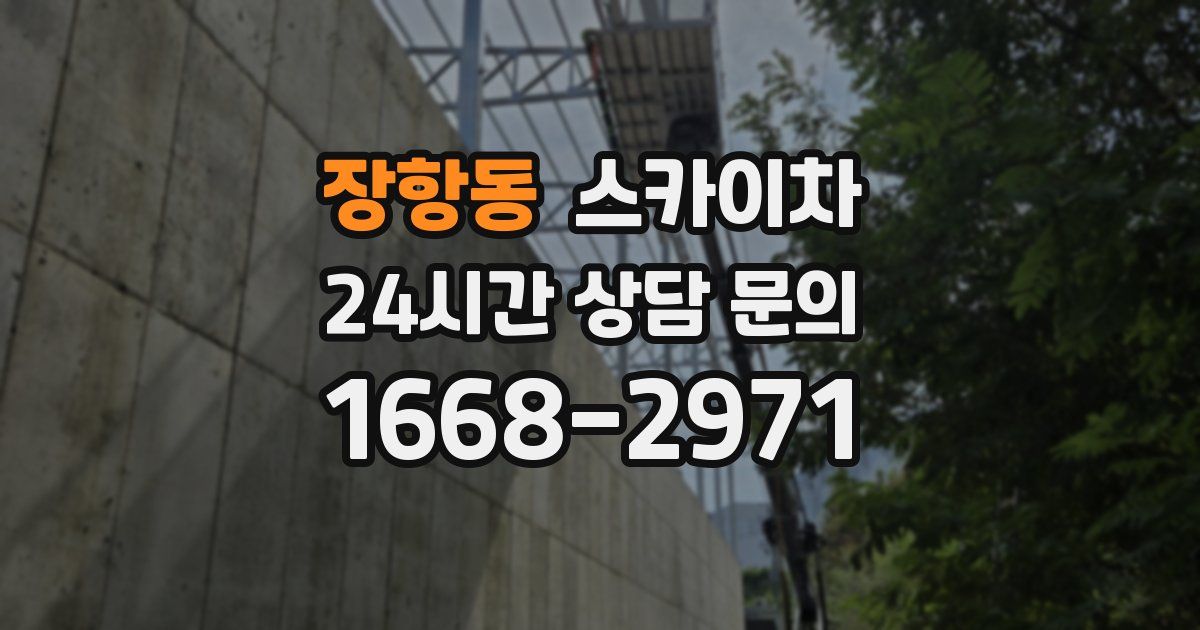 장항동 스카이차