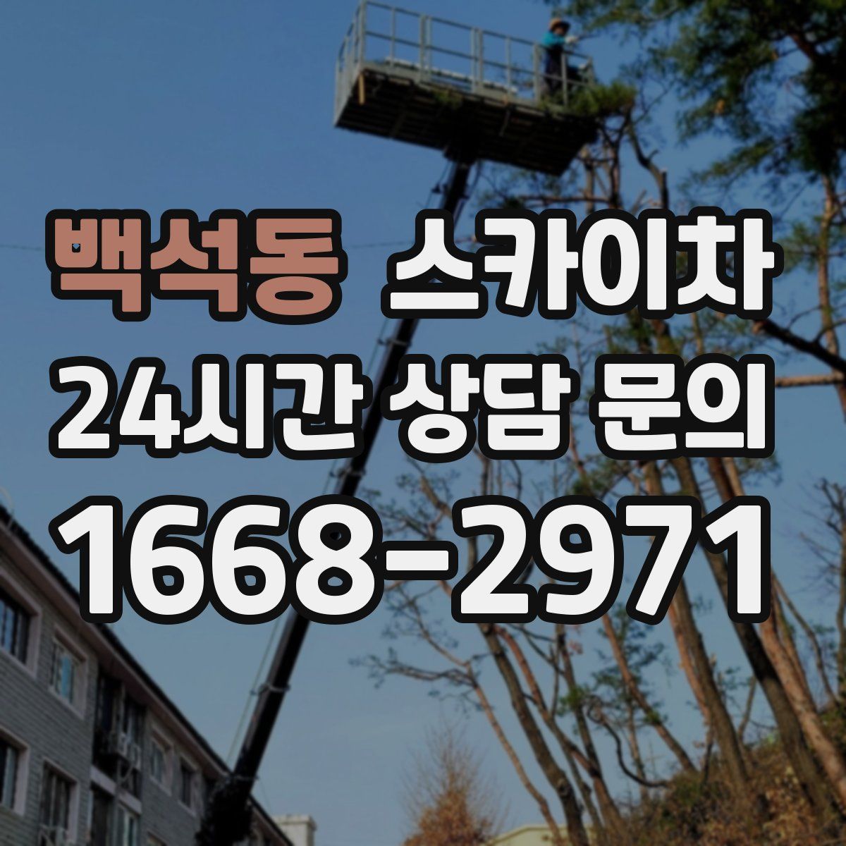 백석동 스카이차