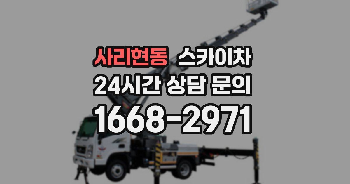 사리현동 스카이차