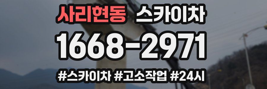 사리현동 스카이차