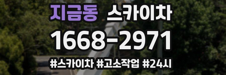 지금동 스카이차