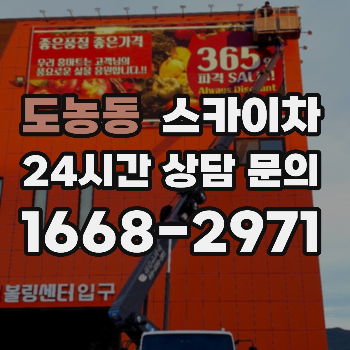 도농동 스카이차