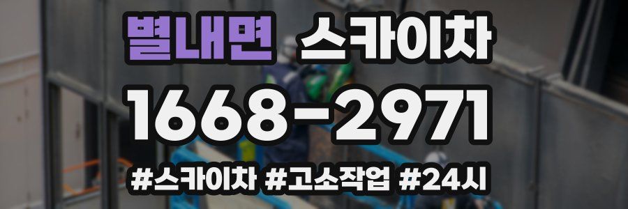 별내면 스카이차