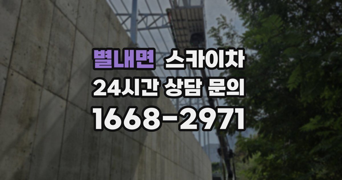 별내면 스카이차