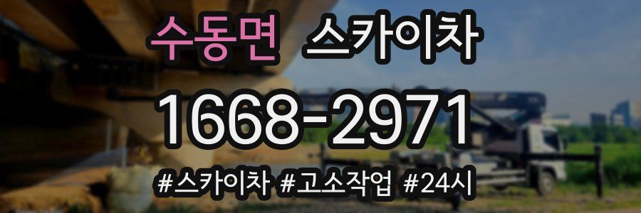 수동면 스카이차