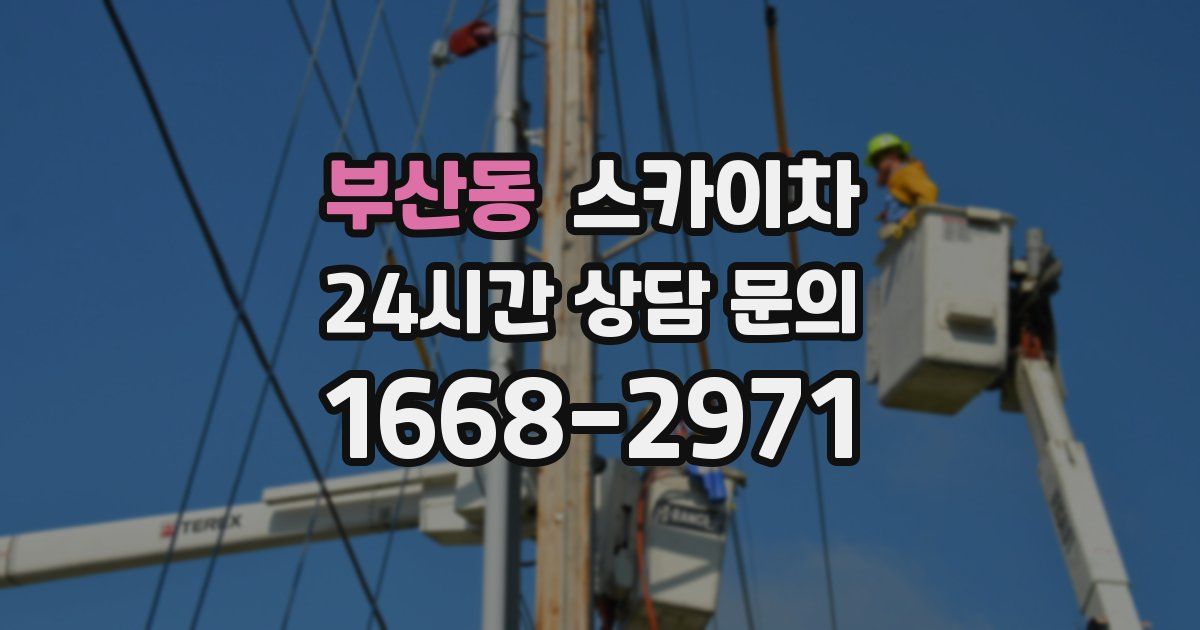 부산동 스카이차