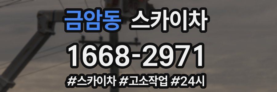 금암동 스카이차