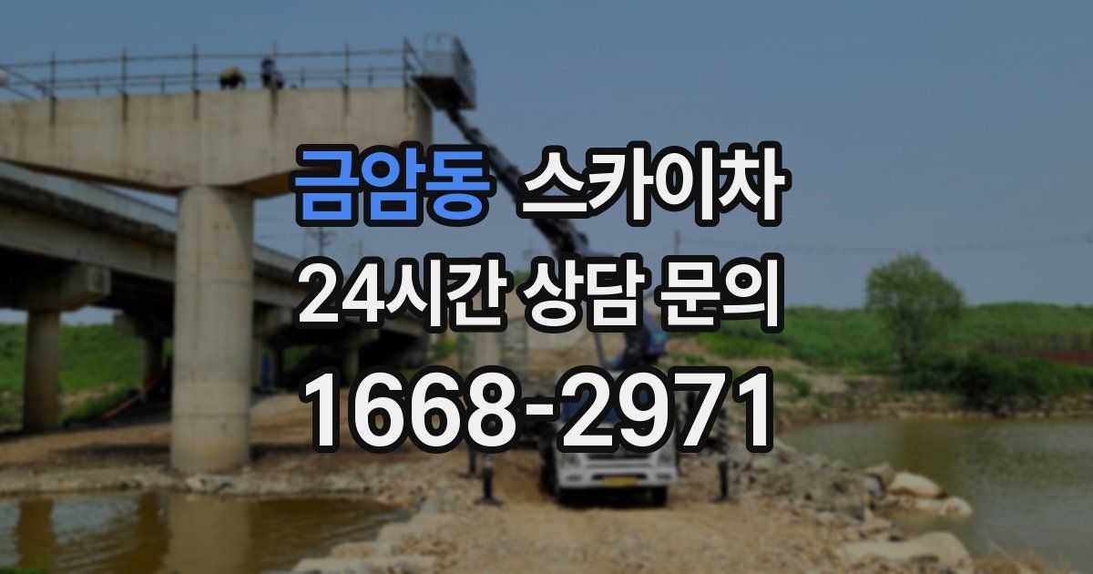 금암동 스카이차