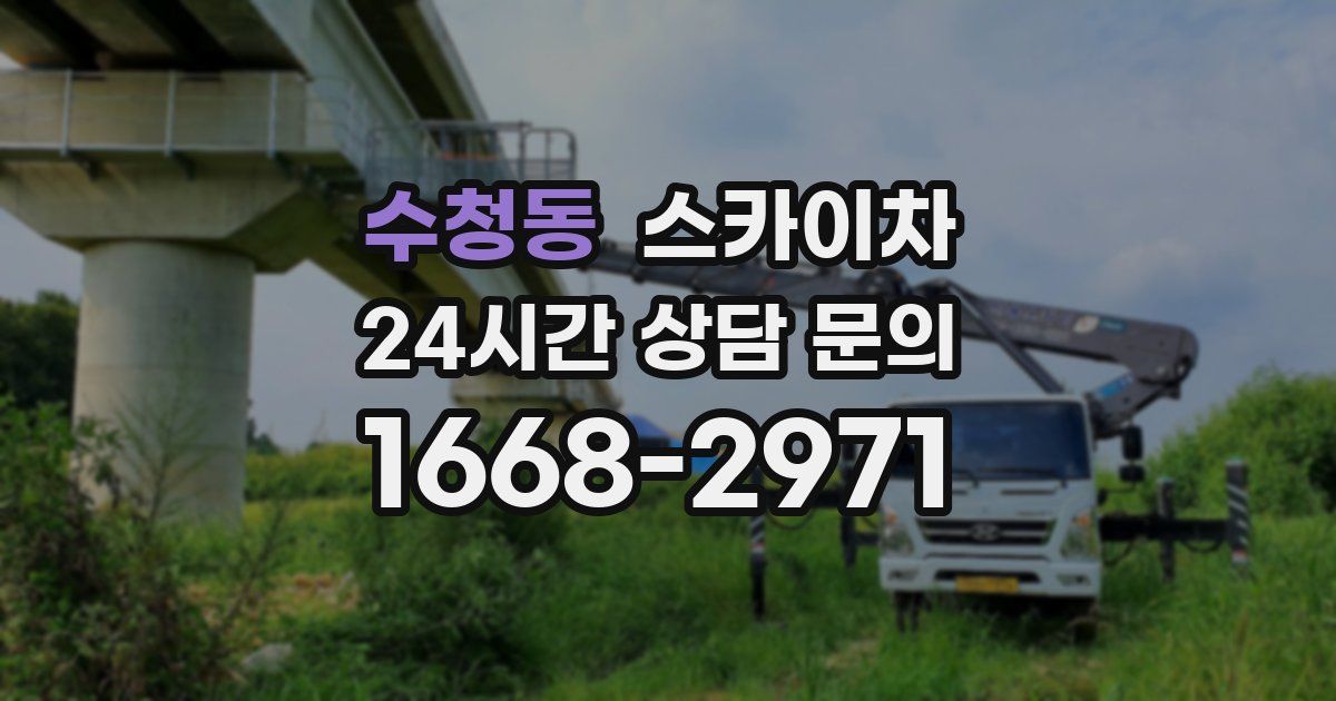 수청동 스카이차