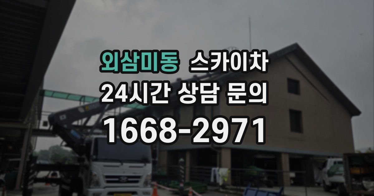 외삼미동 스카이차