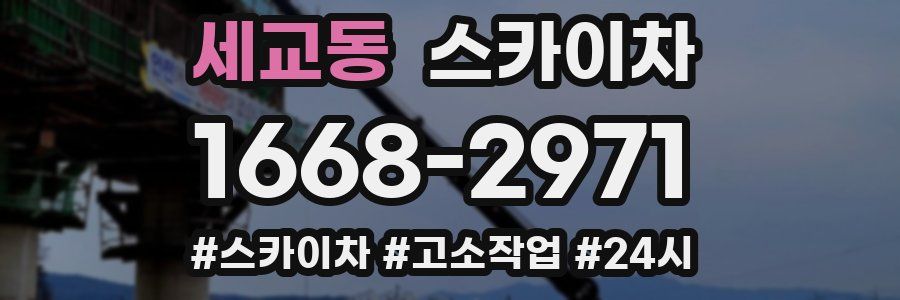 세교동 스카이차