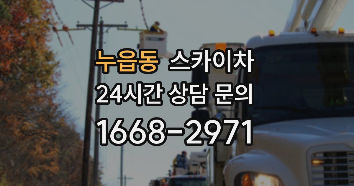 누읍동 스카이차