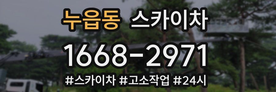 누읍동 스카이차
