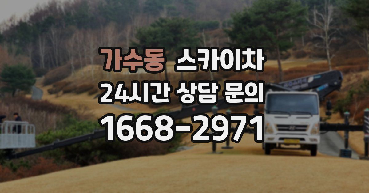 가수동 스카이차