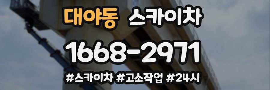 대야동 스카이차