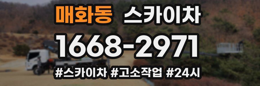 매화동 스카이차