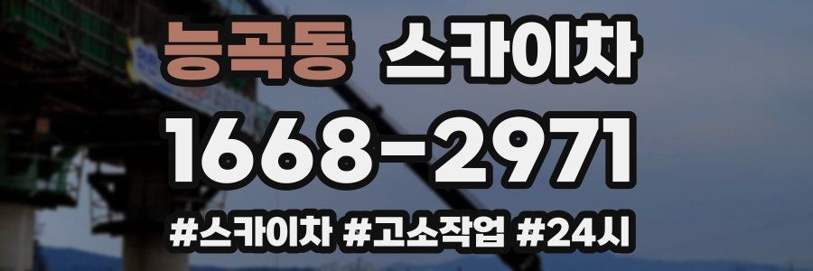 능곡동 스카이차