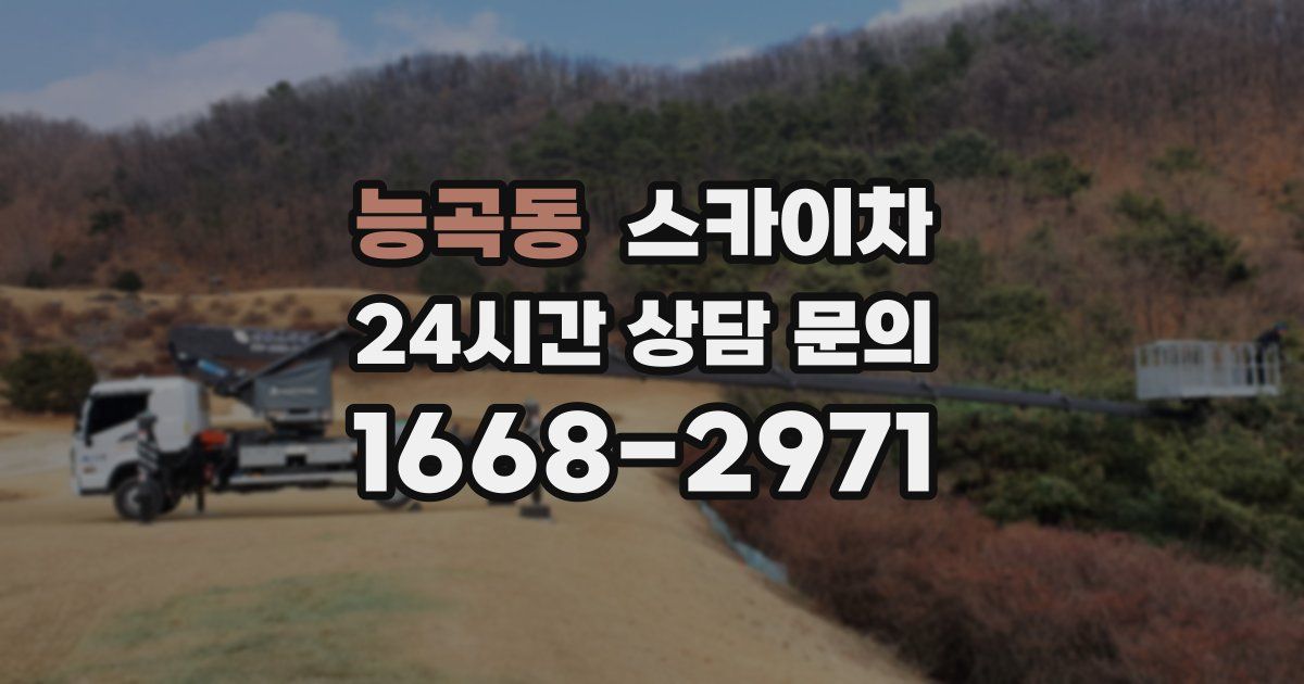 능곡동 스카이차