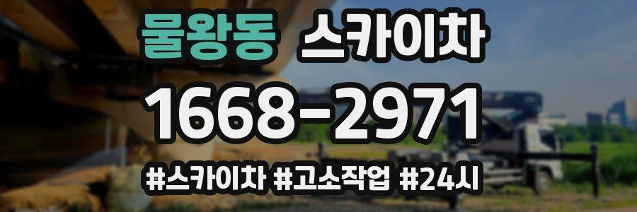 물왕동 스카이차