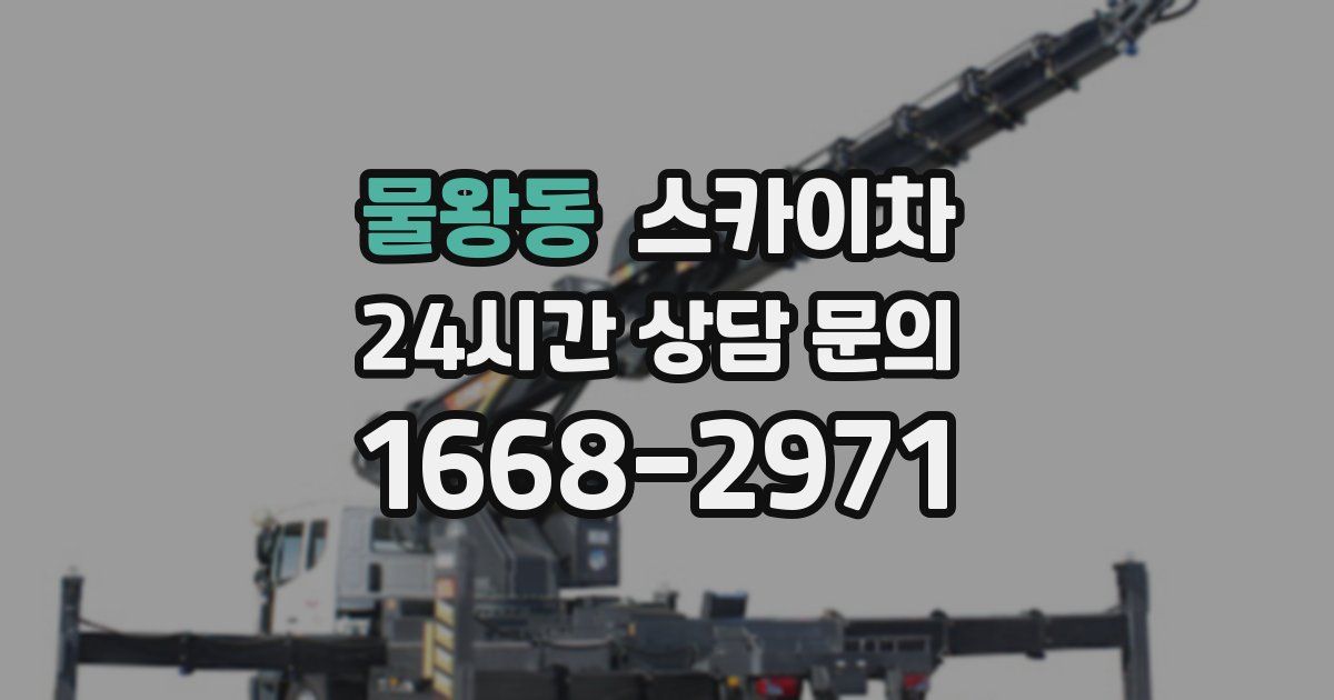 물왕동 스카이차