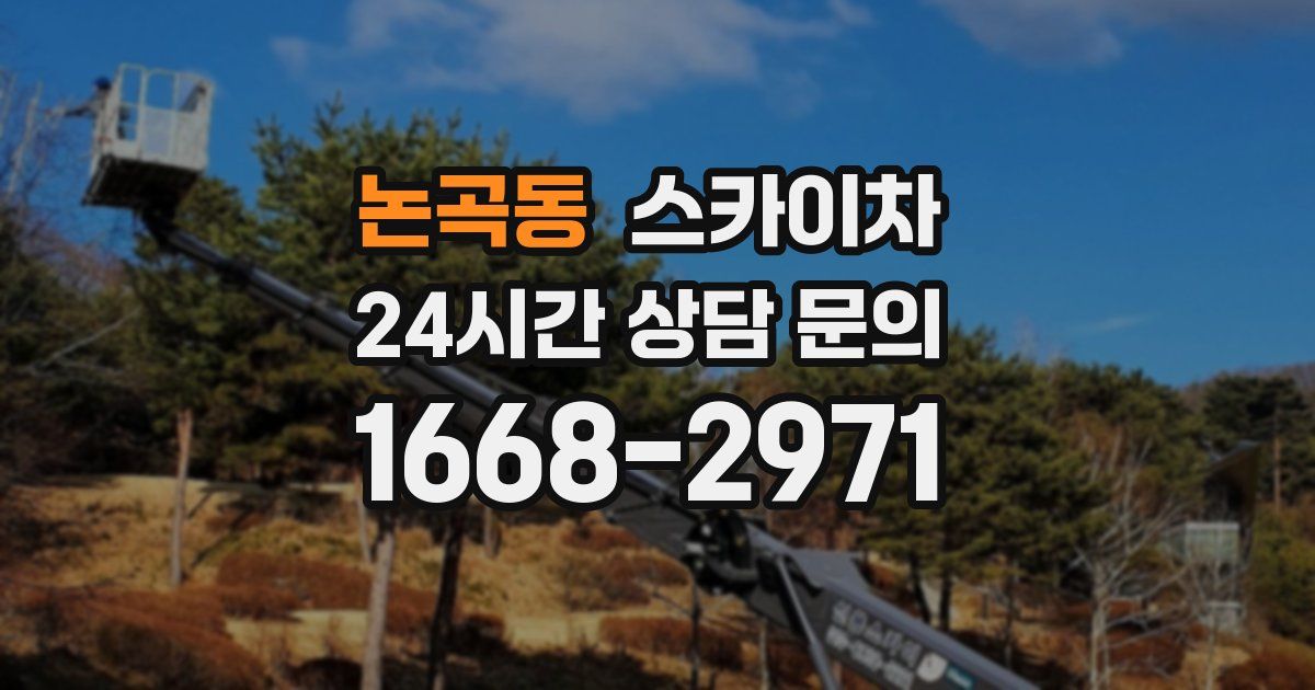 논곡동 스카이차