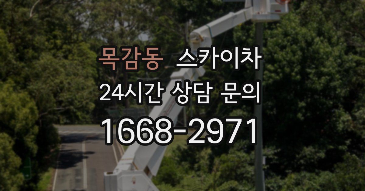 목감동 스카이차