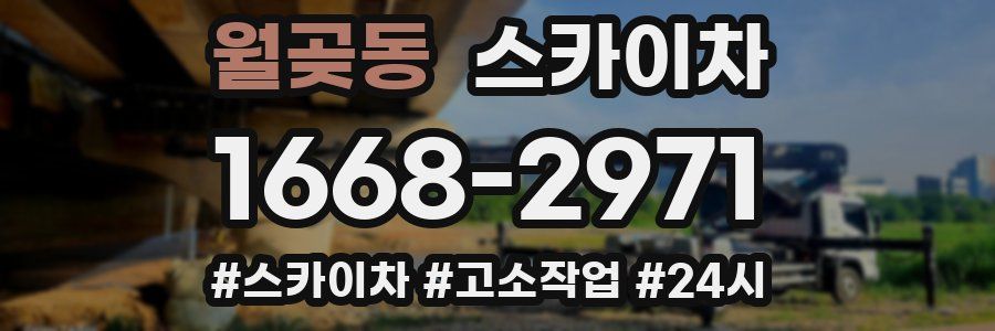 월곶동 스카이차