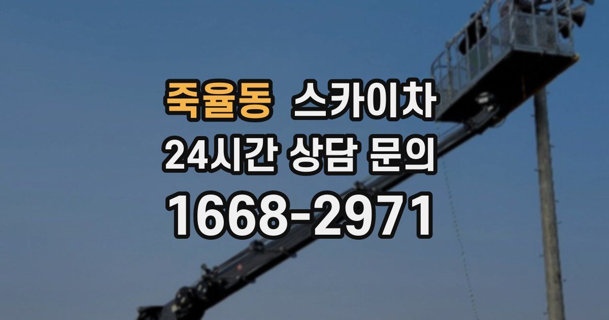 죽율동 스카이차