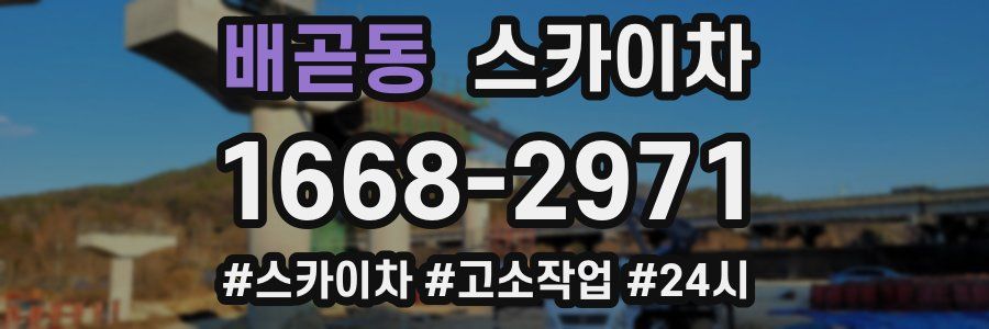 배곧동 스카이차