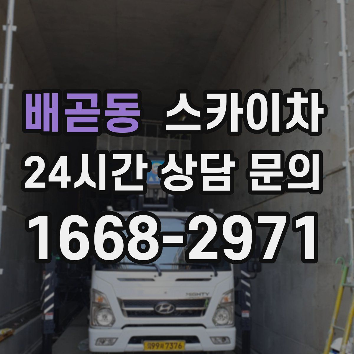 배곧동 스카이차