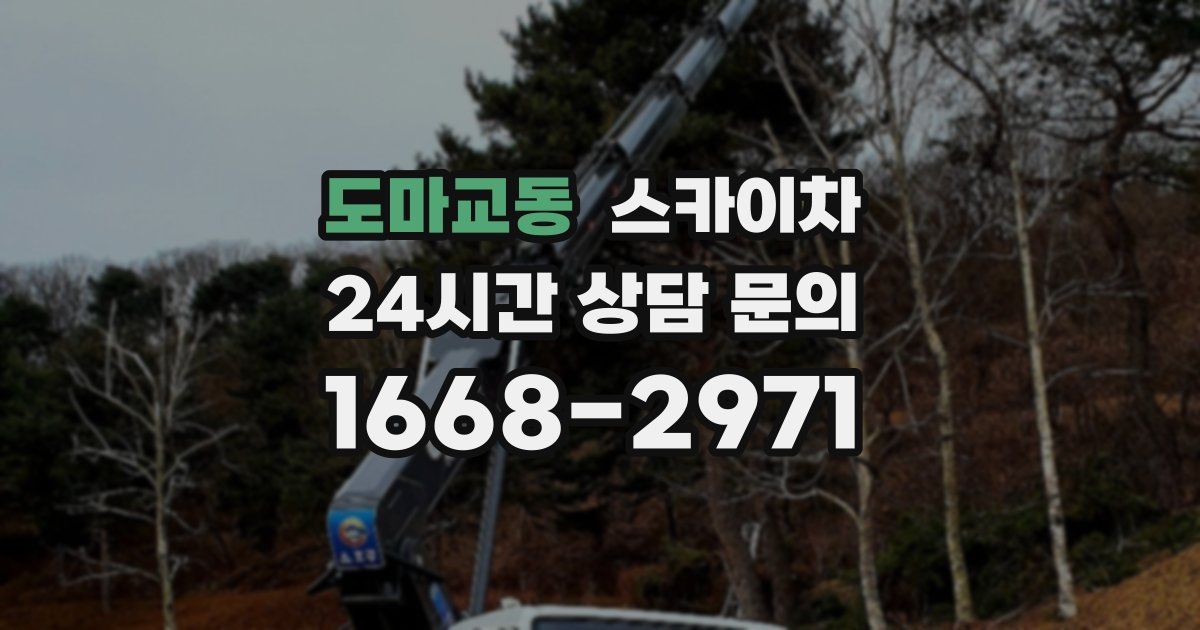 도마교동 스카이차