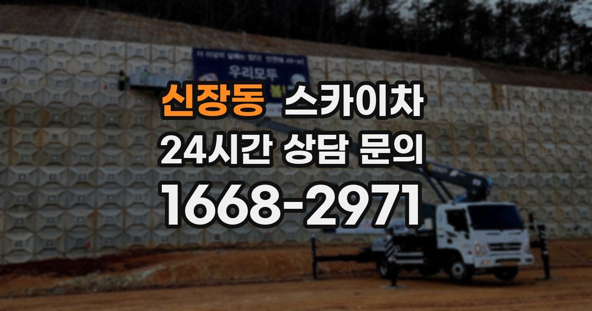 신장동 스카이차