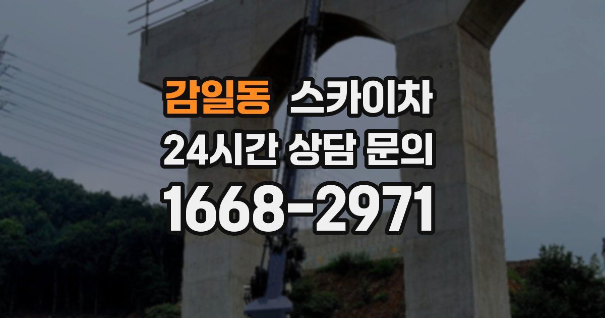 감일동 스카이차